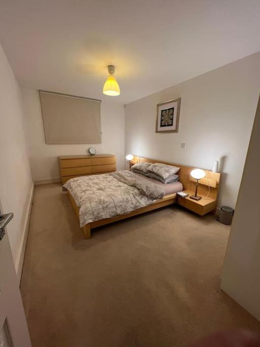 One Double Bedroom On Chelsea Bridge! * Londra